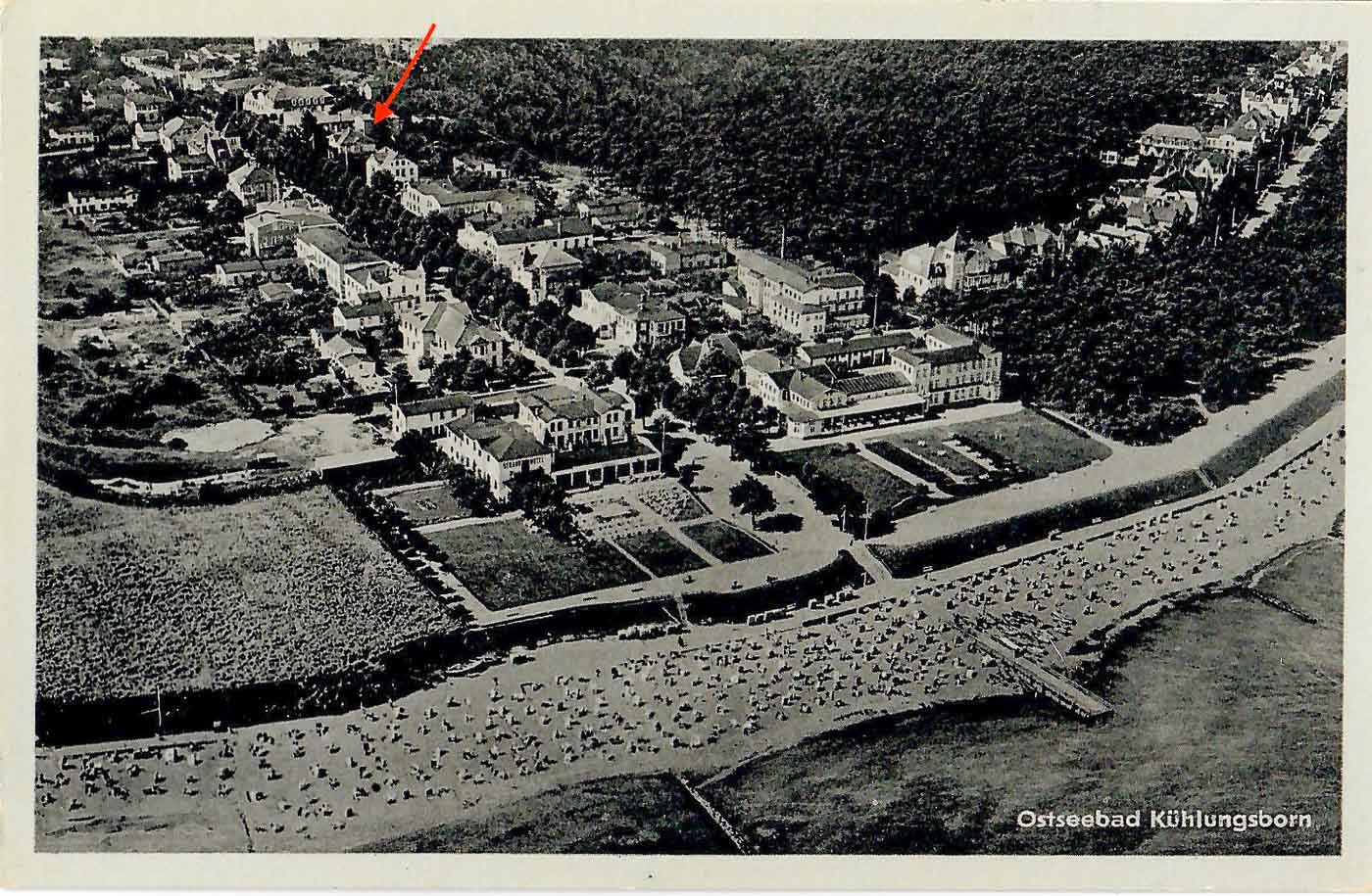 1950